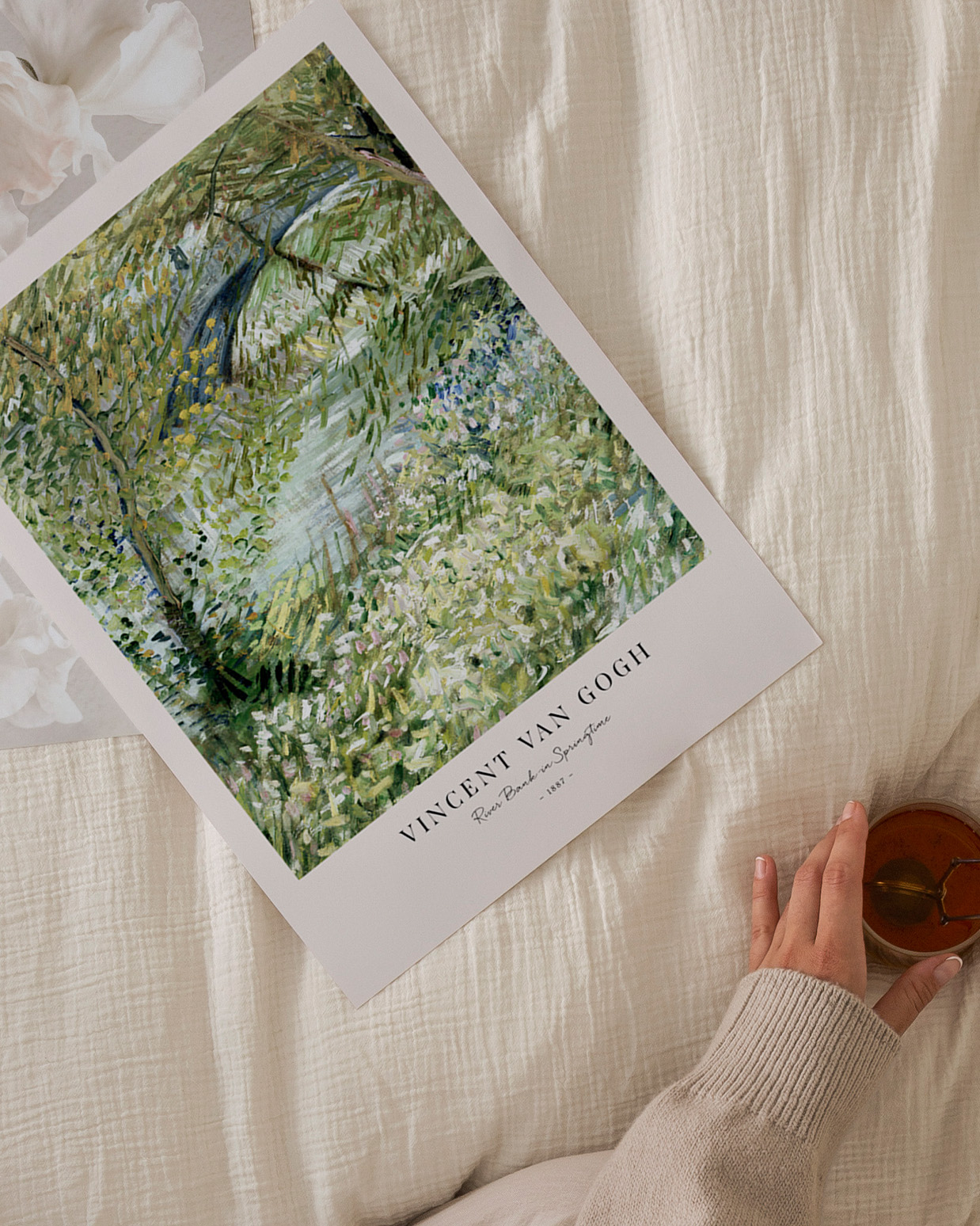 【額付】ポスター インテリア 北欧 スカビオサ ゴールド プラント A4～B2② アート 北欧 ポスター おしゃれ A4 A3 B3 A2 B2 A1 B1 元気が出る