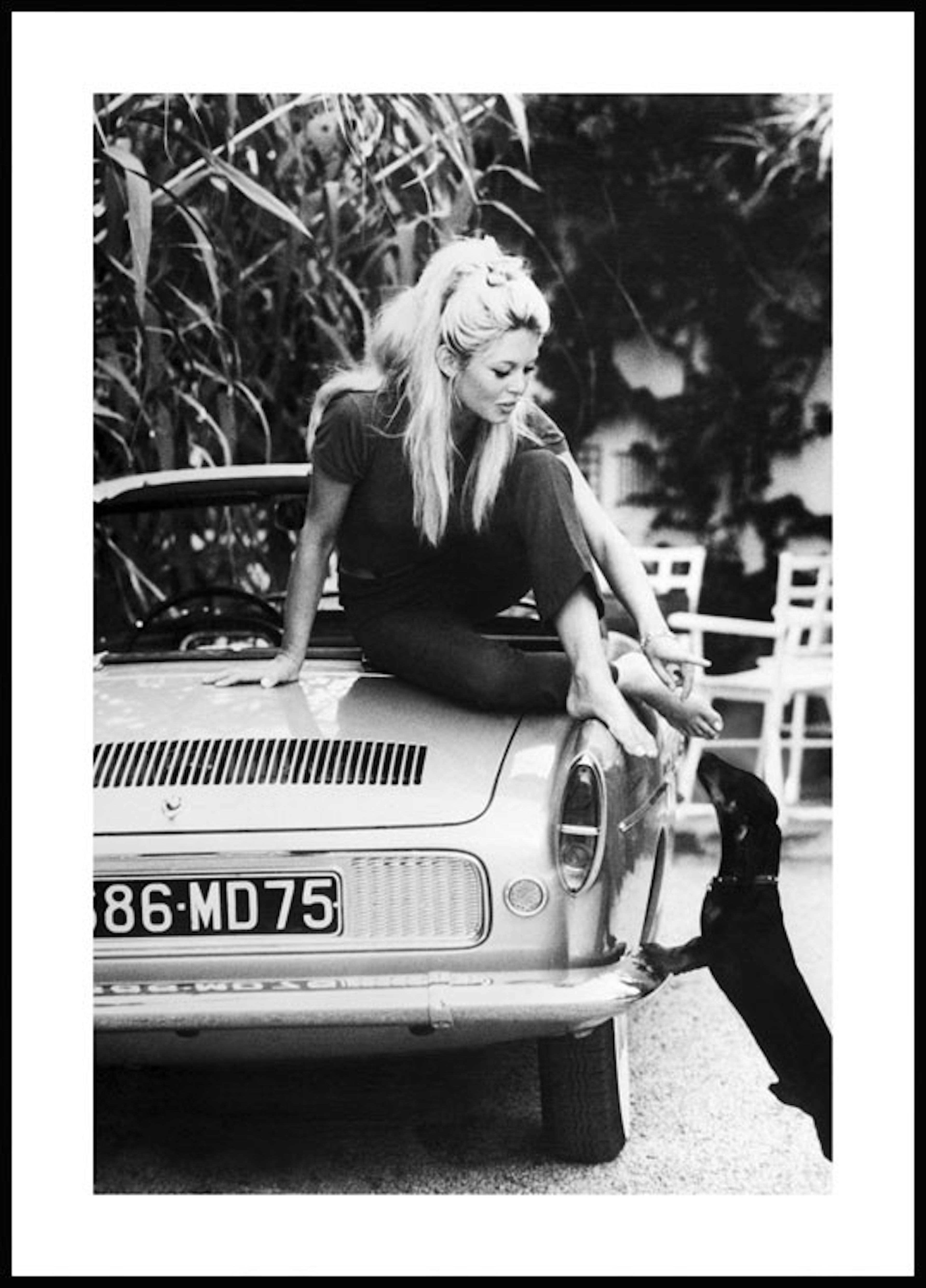 Brigitte Bardot Poster thumbnail