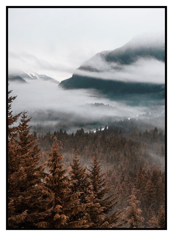 Plakat Las we Mgle (30x40 cm) - Poster Store