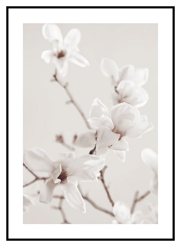 Magnolia Branch Plakat (21x30 cm) - Poster Store