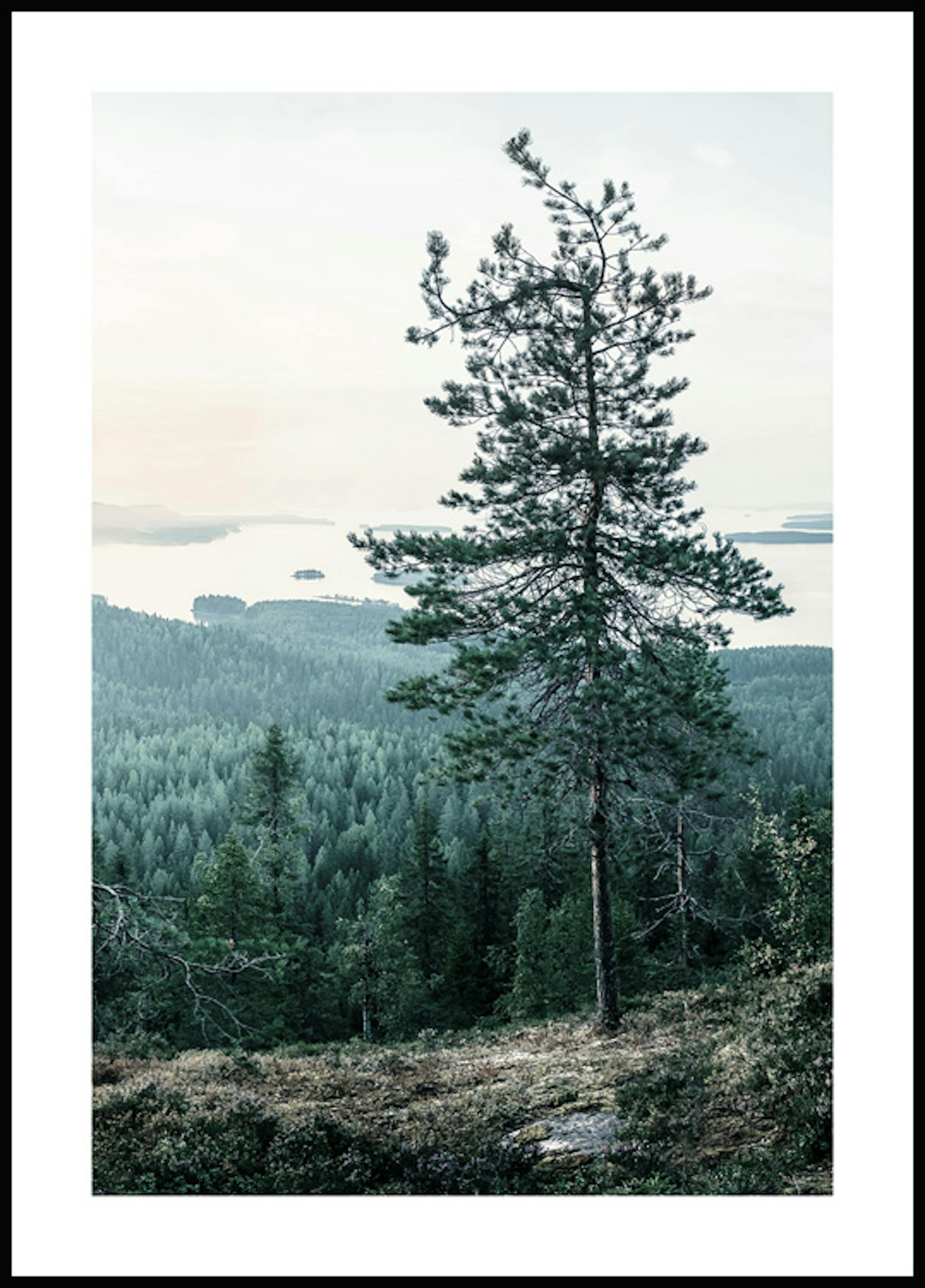丘の上の木 ポスター 0