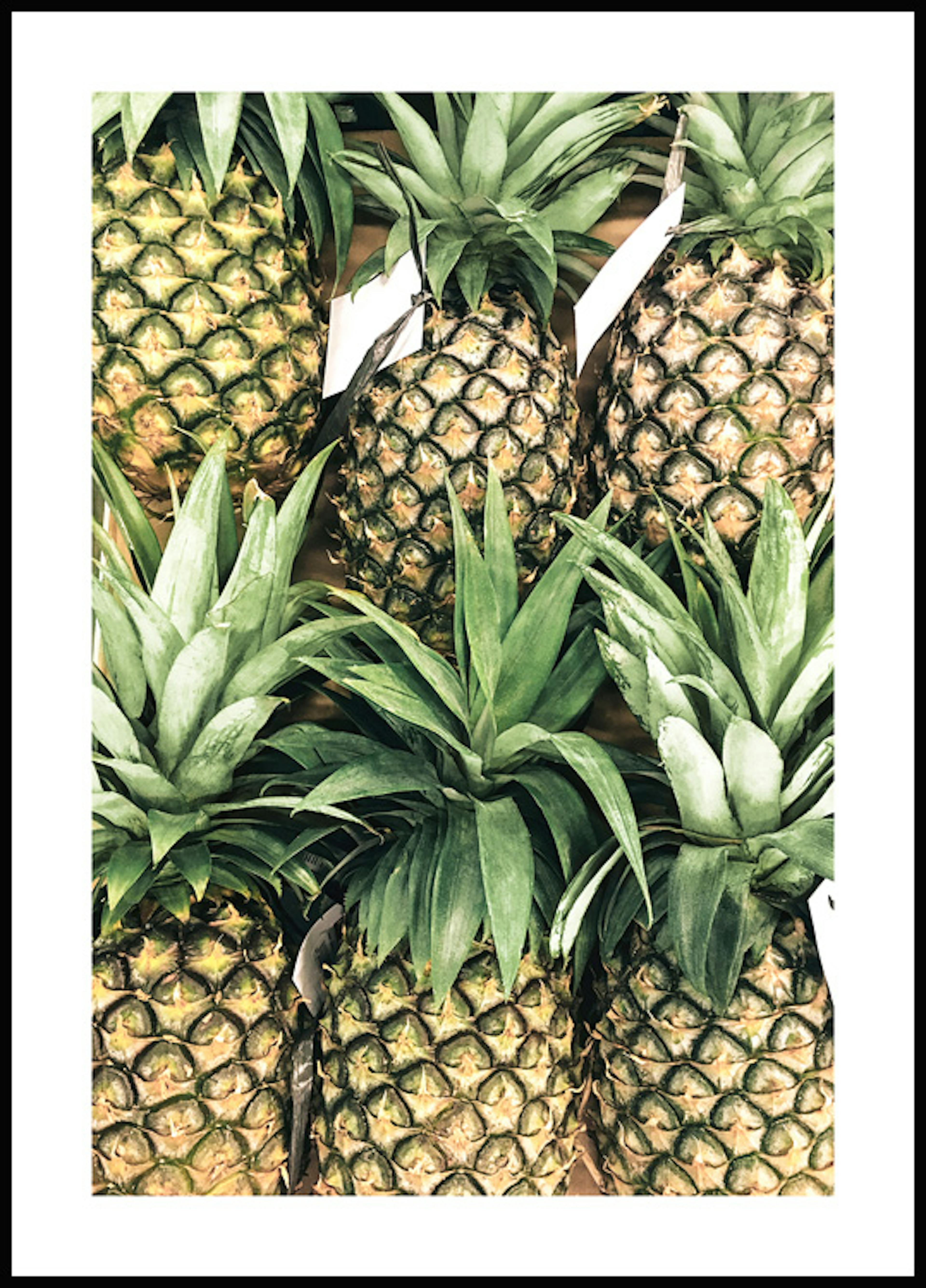 Ananasfrüchte Poster 0