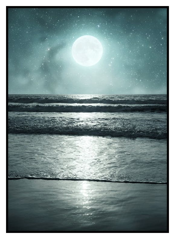 Plakat Tropikalna Noc (30x40 cm) - Poster Store