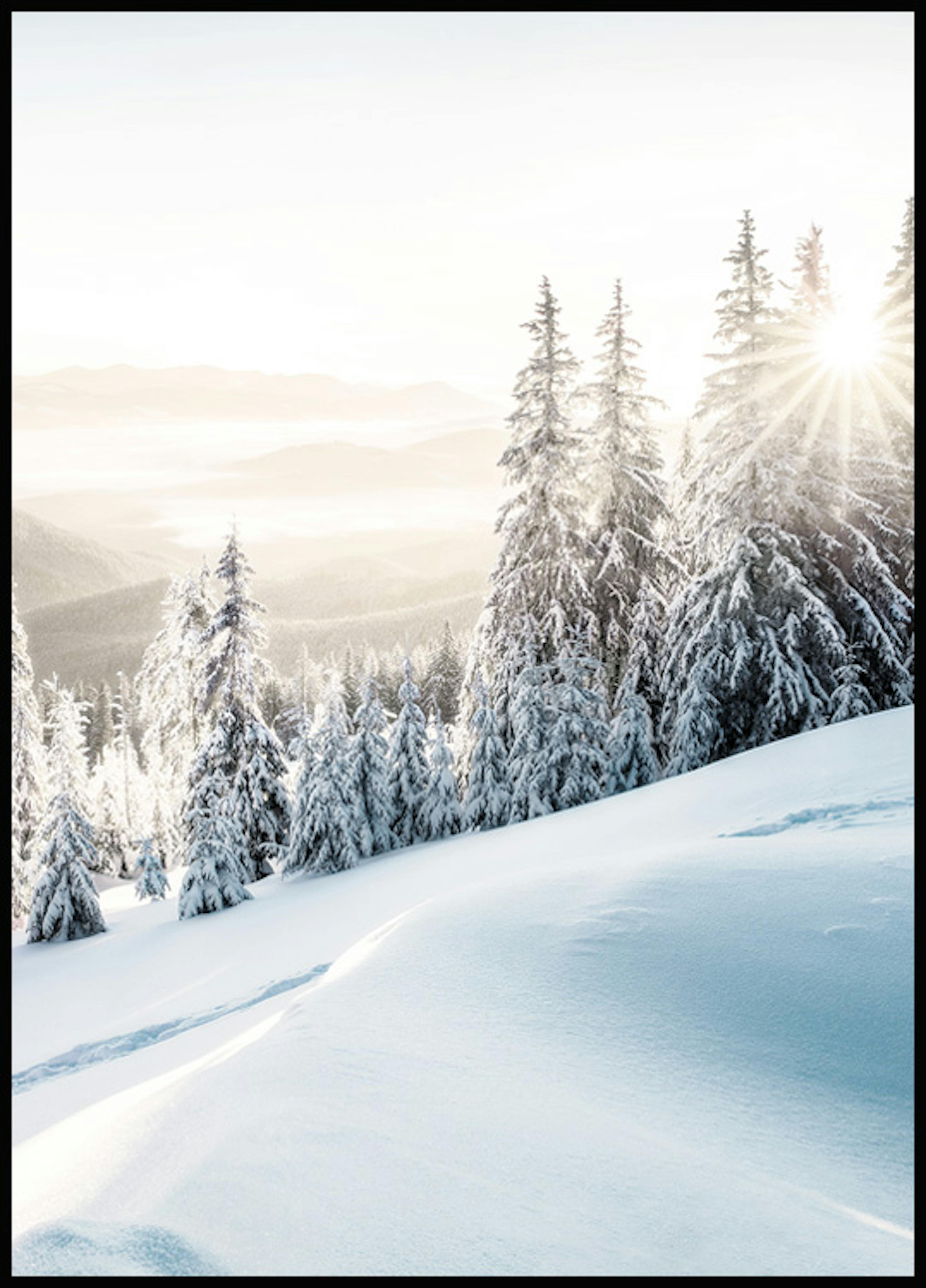 لوحة صورة شروق الشمس في فصل الشتاء thumbnail