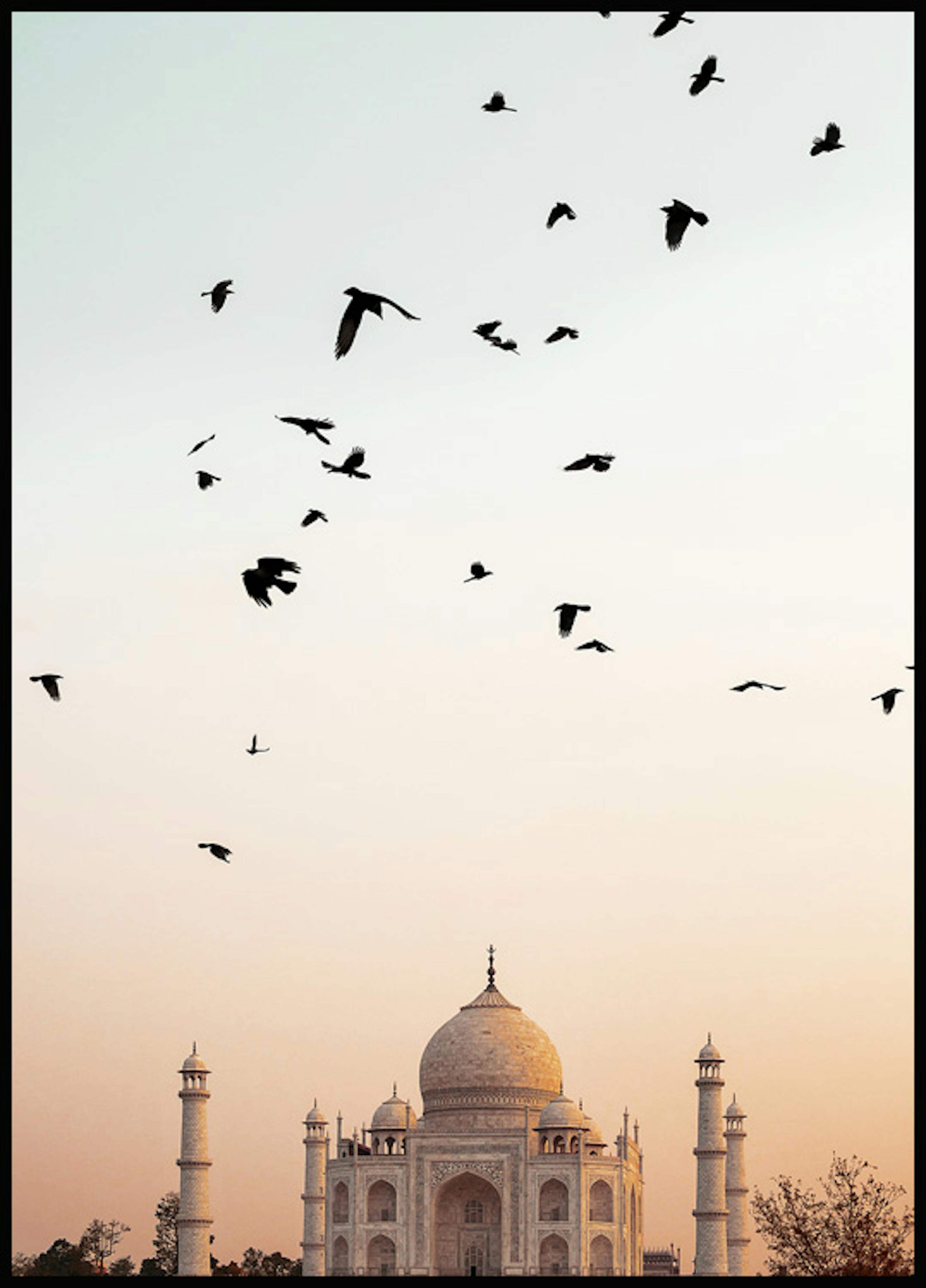 Taj Mahal Zonsondergang Poster 0