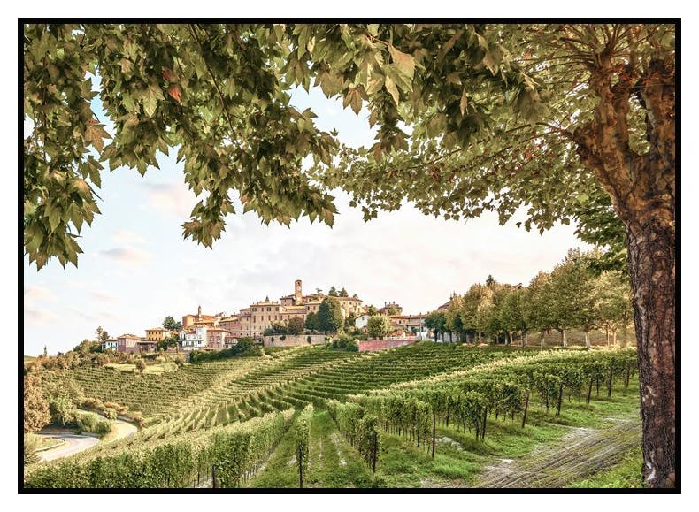 Plakat Winnica w Dolinie (21x30 cm) - Poster Store