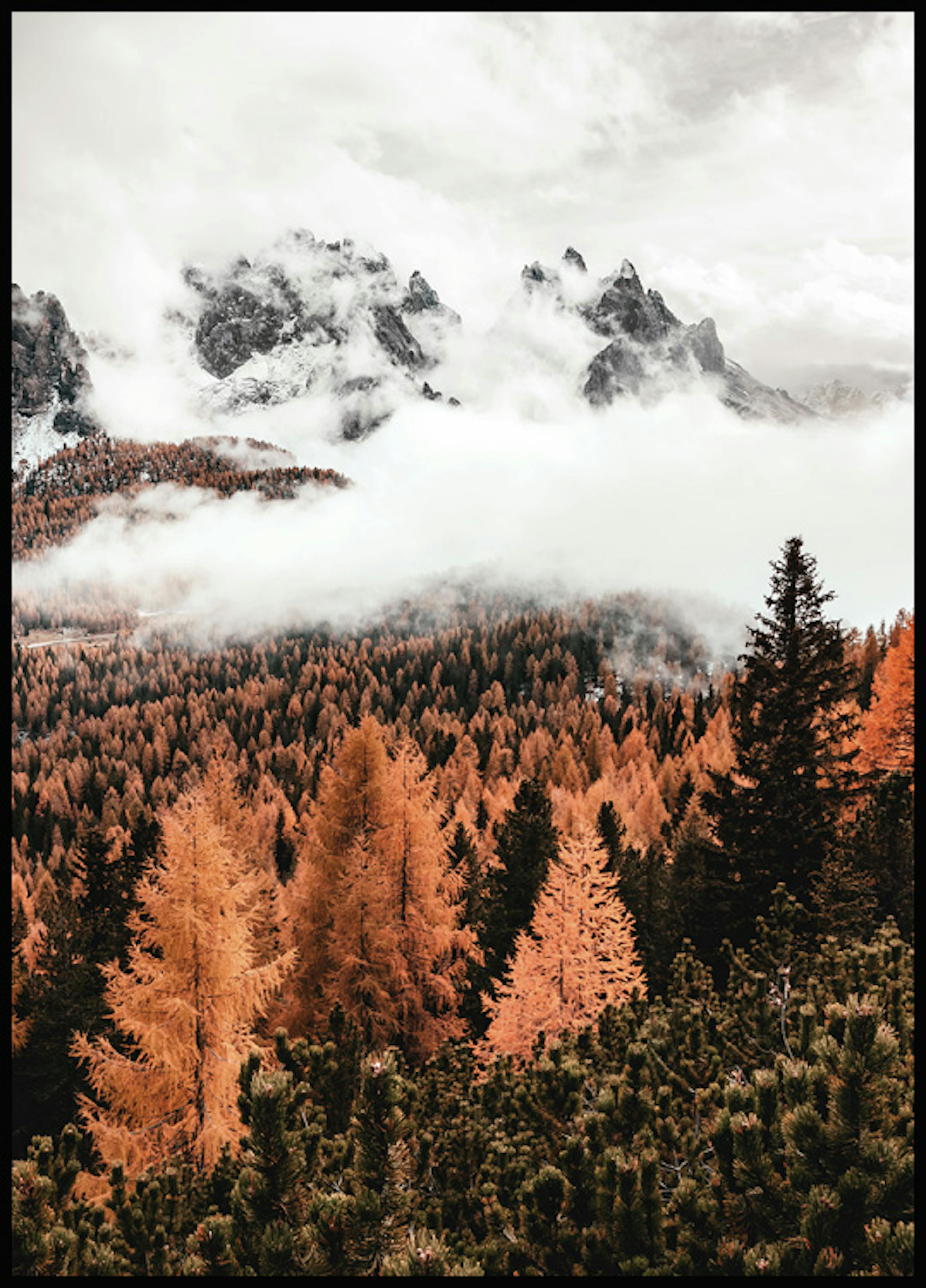 가을 숲과 구름 포스터 0