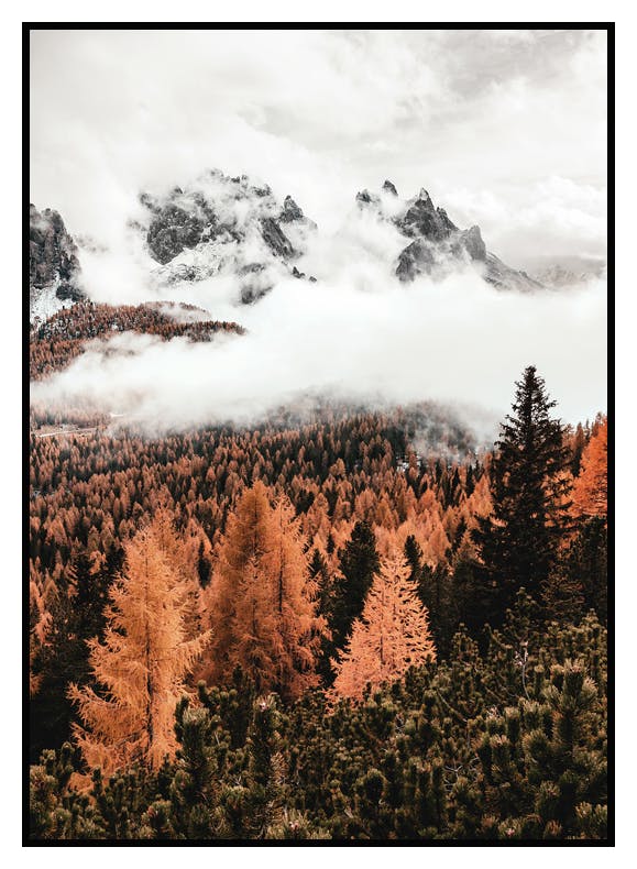 Wolken boven het Woud Poster (30x40 cm) - Poster Store