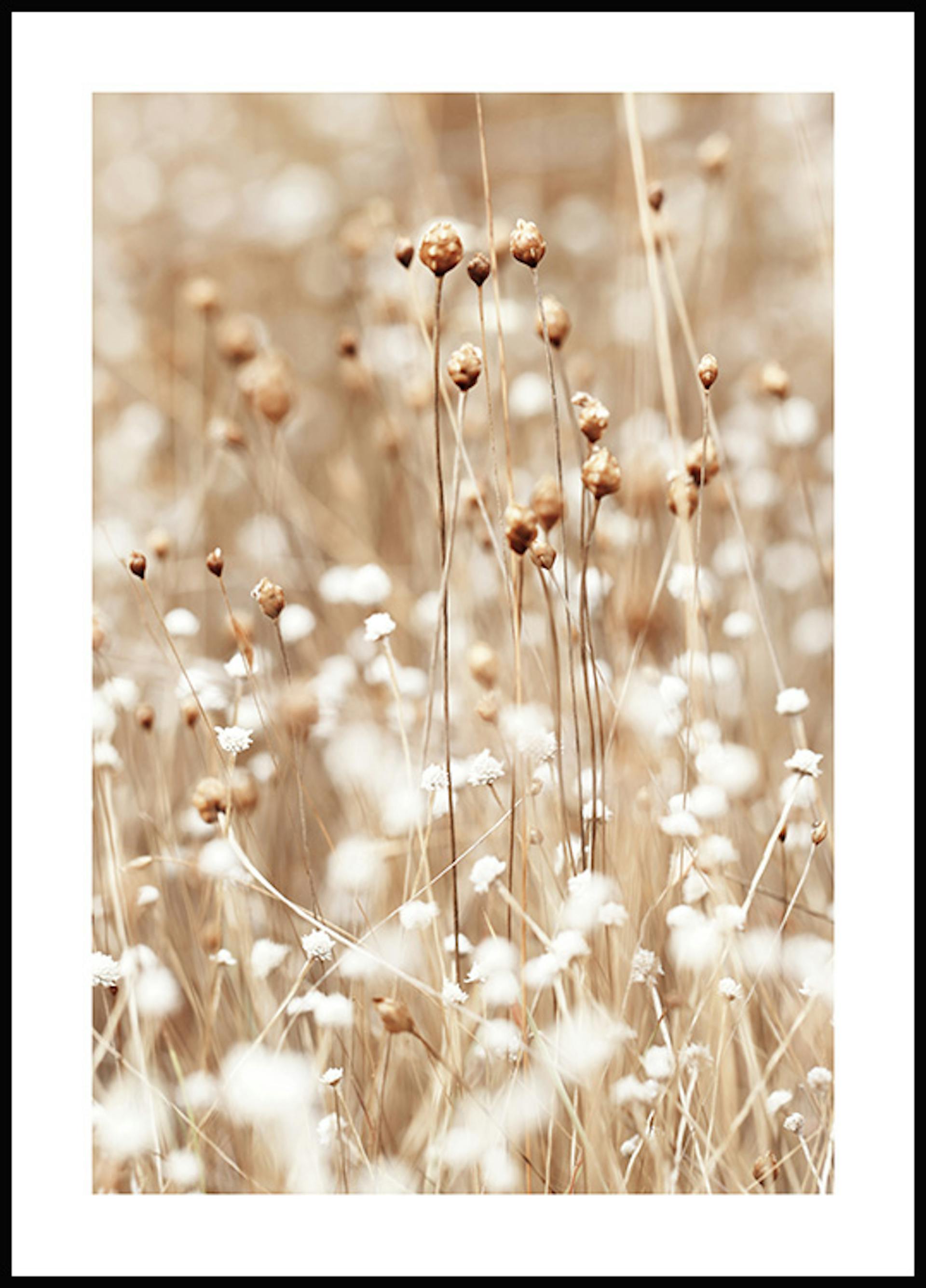 Køb plakater med rabat online på posterstore.dk