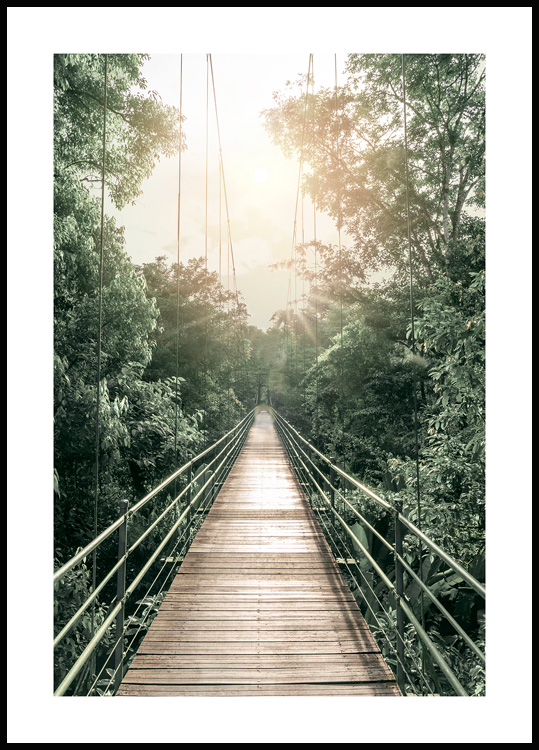 Wandbilder Brücke Dschungel - Hängende Poster