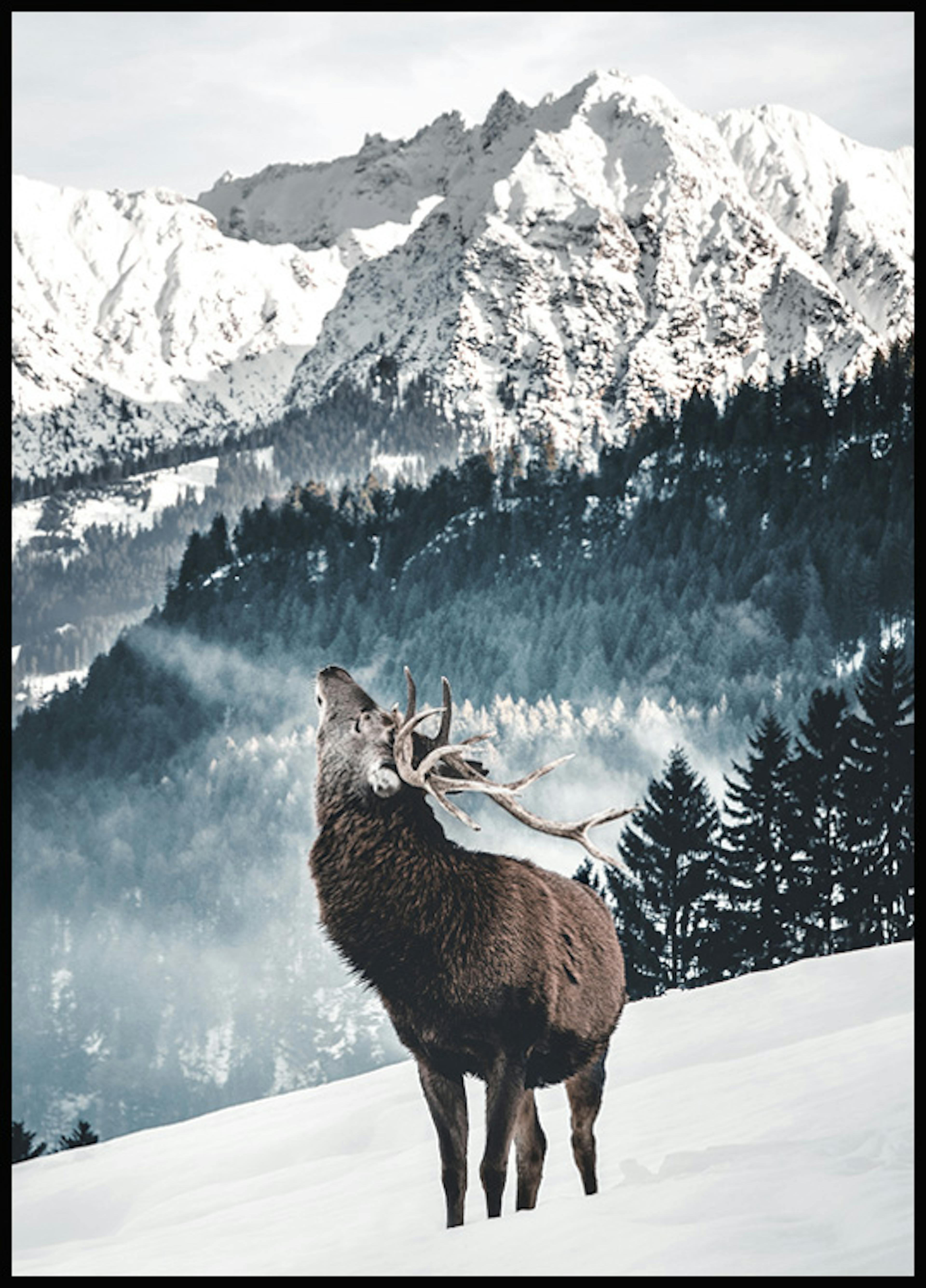 Winter Deer Poster 0