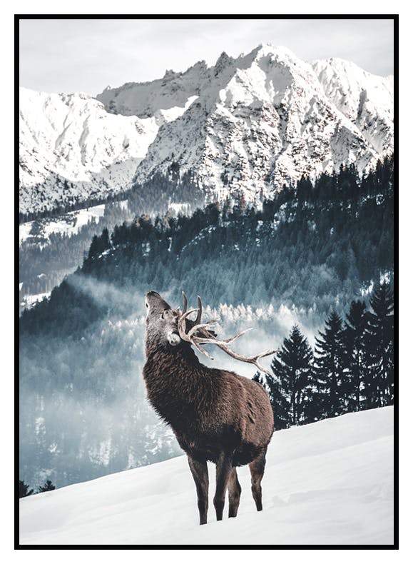 Talvi Peura Juliste (21x30 cm) - Poster Store