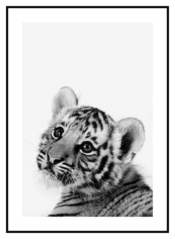 Tiger Cub Poster (21x30 cm) - Poster Store