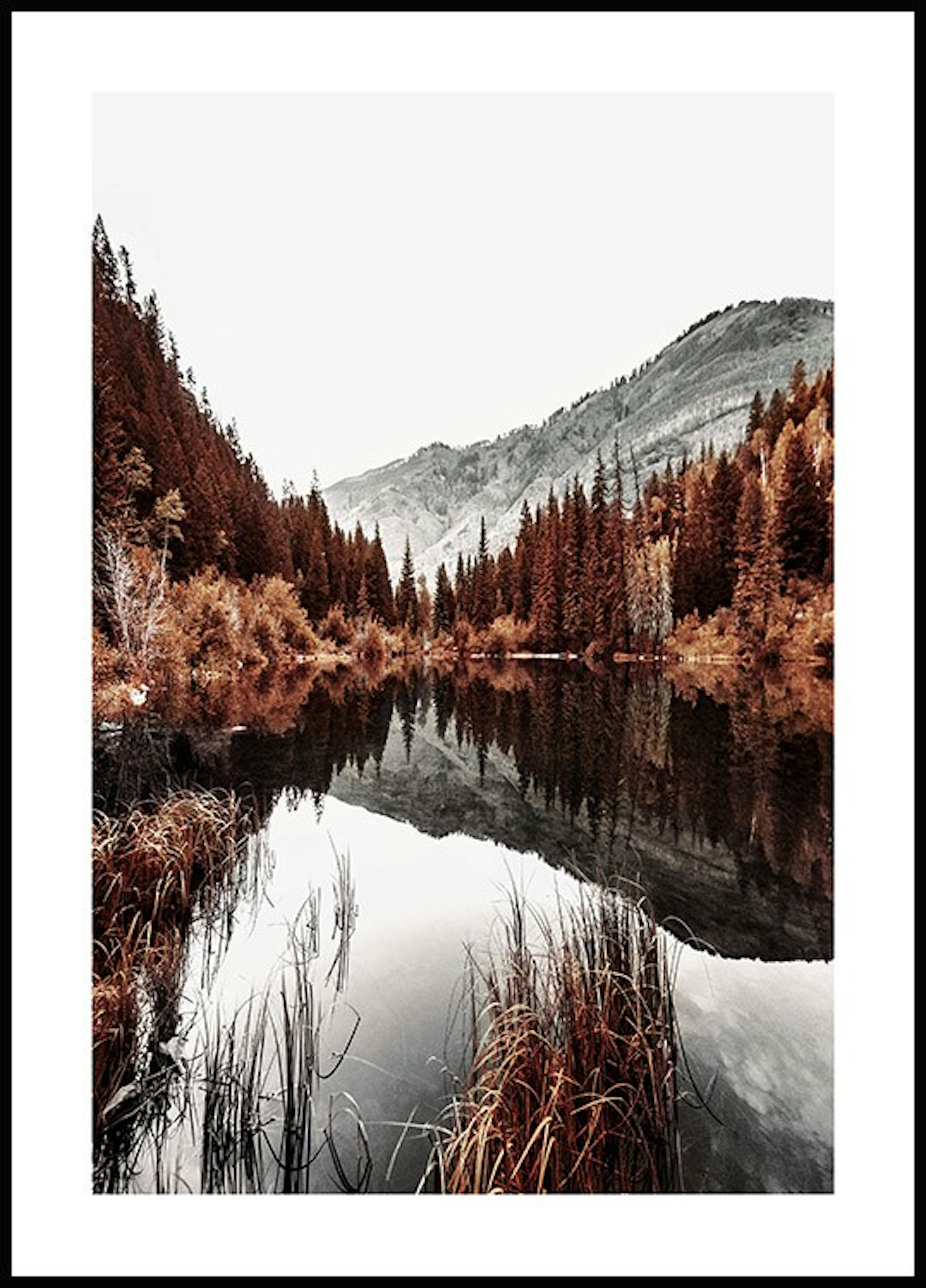 Lac en montagne Poster 0