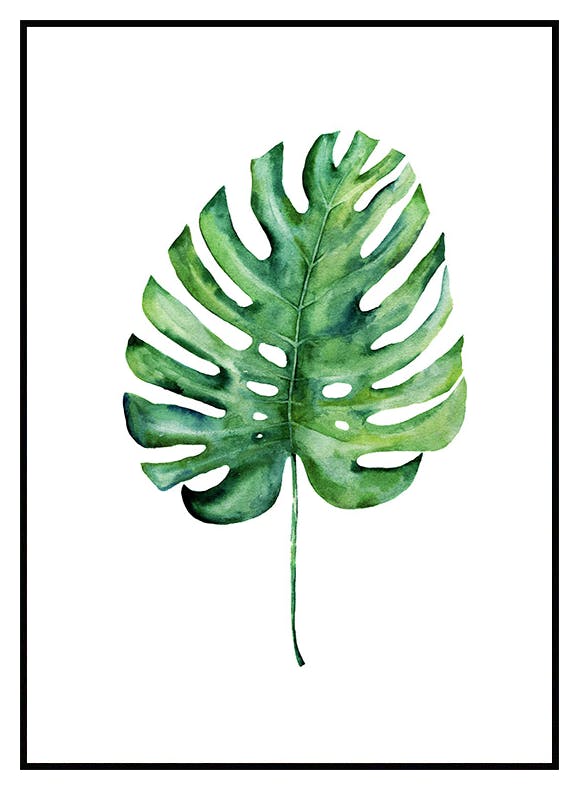 Monstera Leaf Poster (21x30 cm) - Poster Store