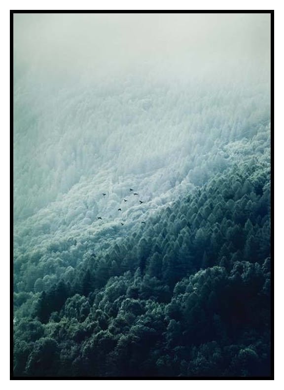 Montagna Nebbiosa Poster (50x70 cm) - Poster Store