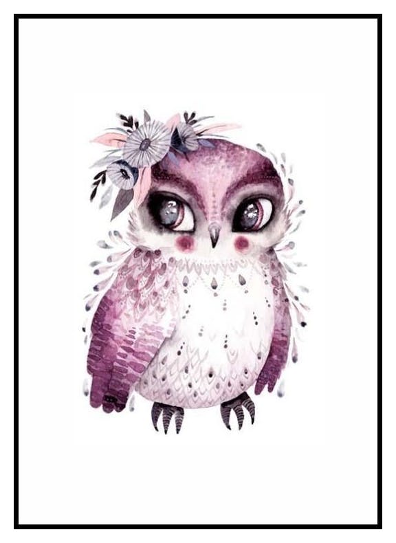 Little Owl Poster (30x40 cm) - Poster Store
