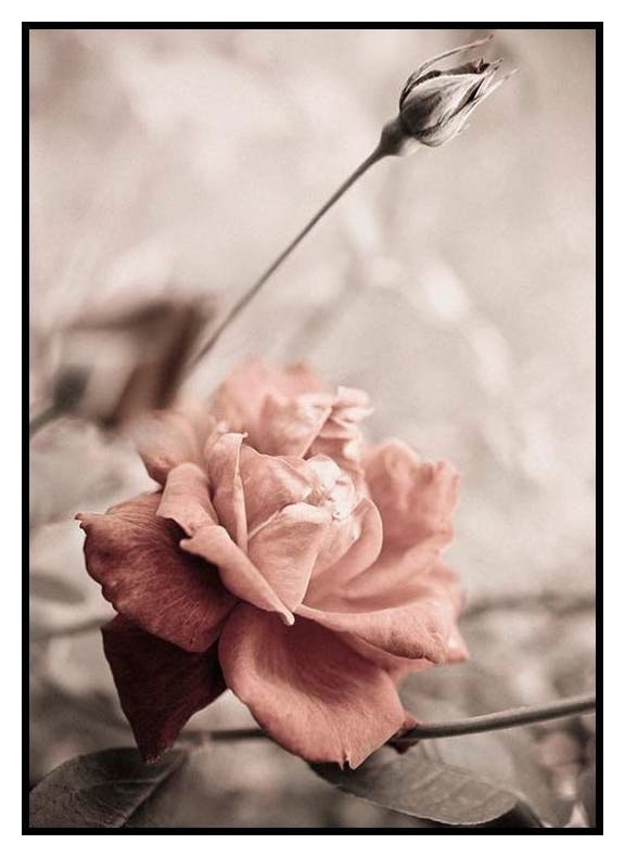 For You Poster (50x70 cm) - Poster Store