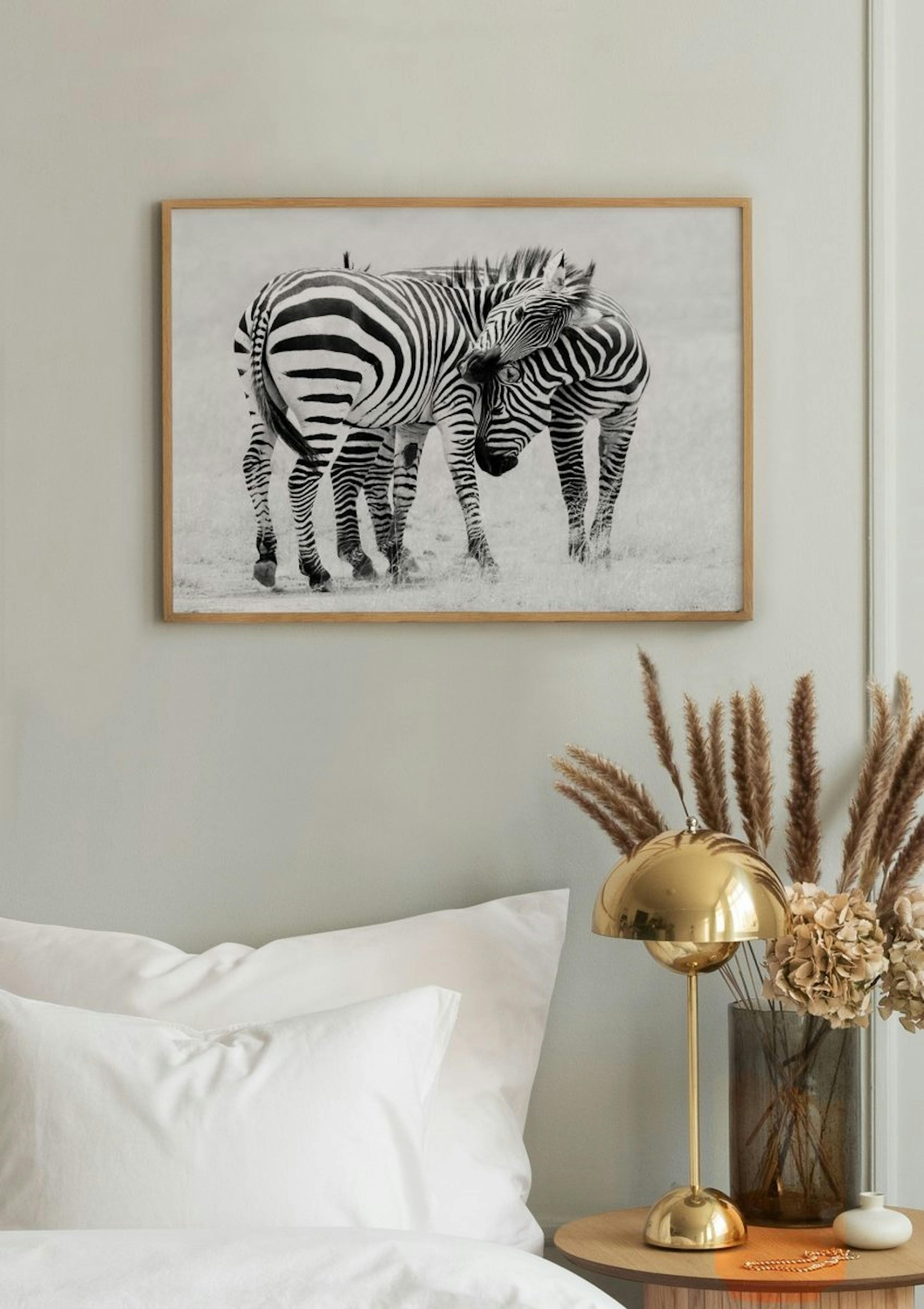 Zebra Love Poster thumbnail