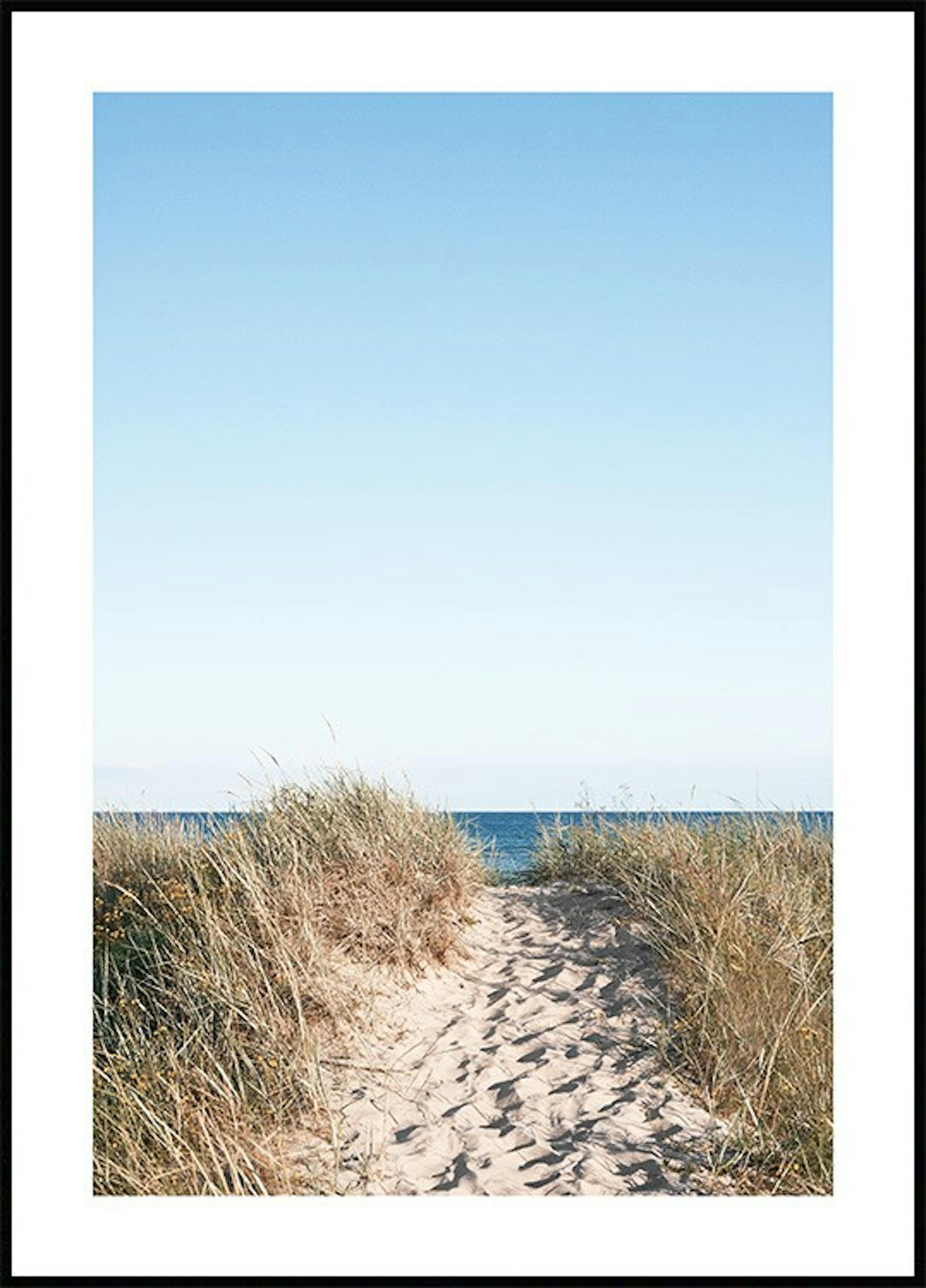 Beach Path Poster 0