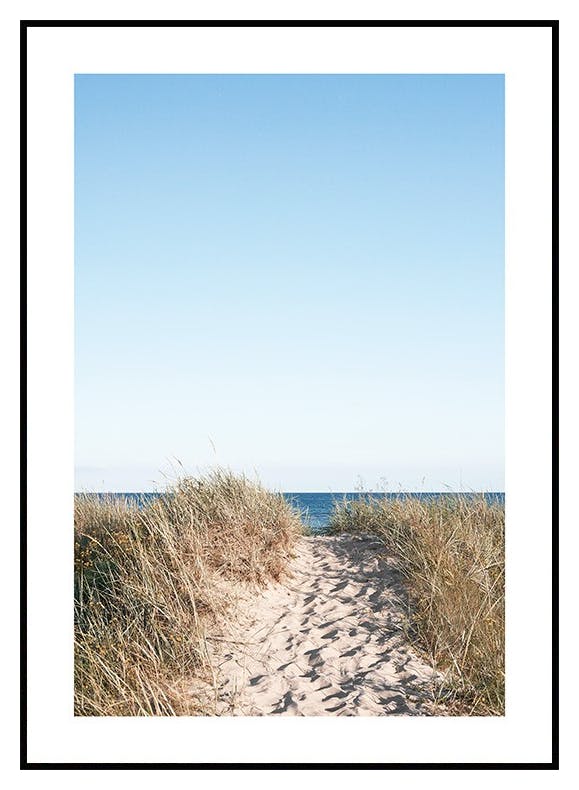 Beach Path Poster (50x70 cm) - Poster Store