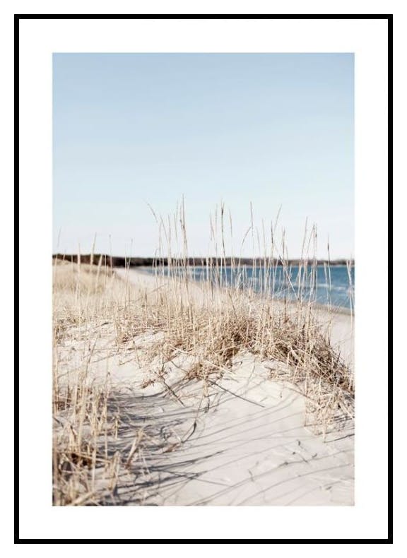 Trawa nad morzem Plakat (21x30 cm) - Poster Store