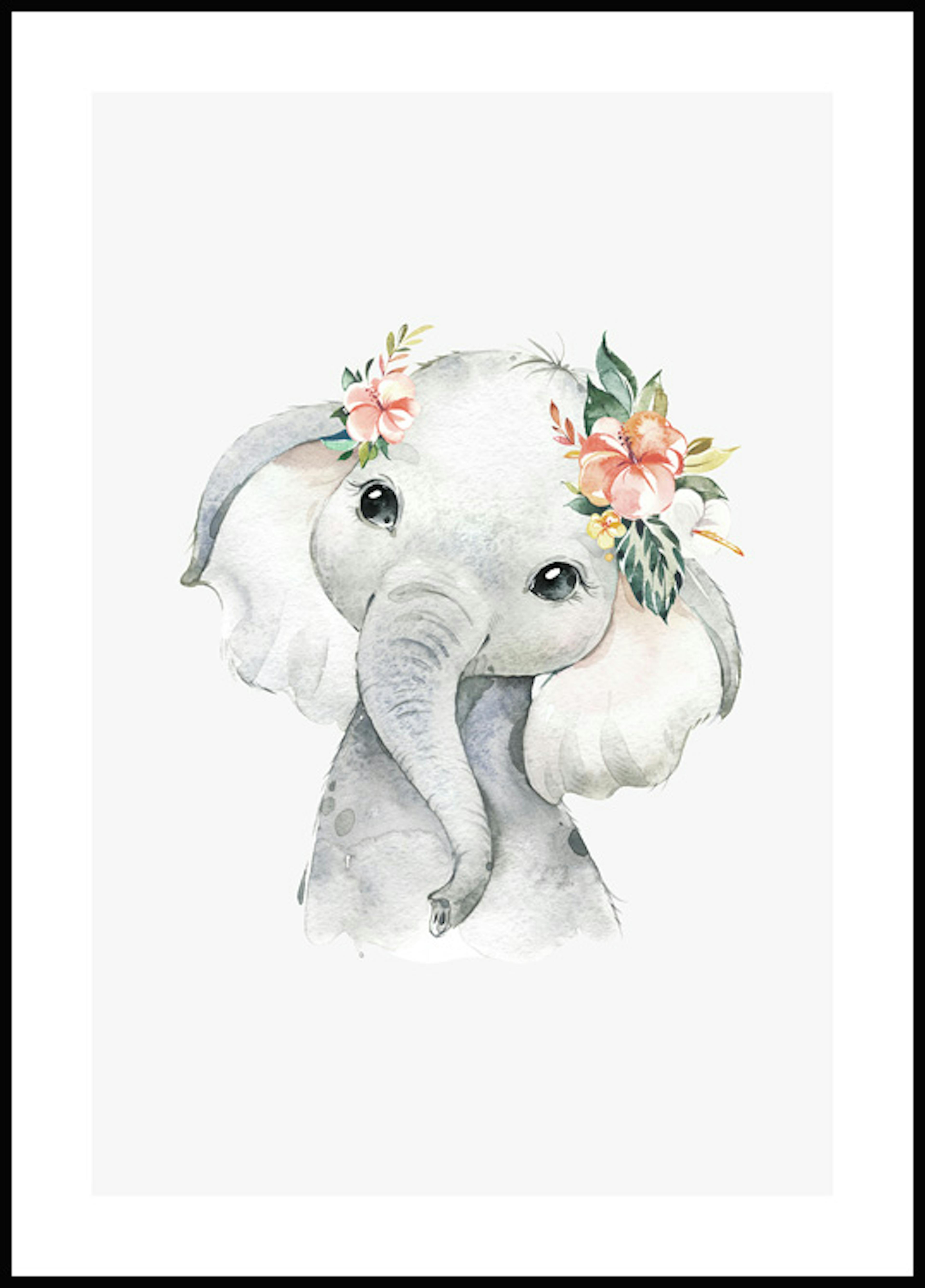 Elefant Venn Poster 0