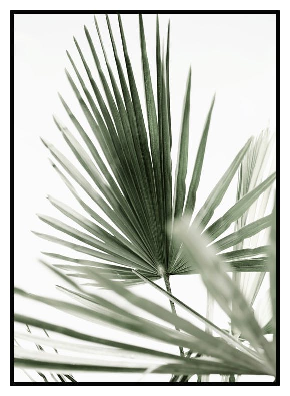 Plakat Zielony Liść Palmowy No1 (21x30 cm) - Poster Store
