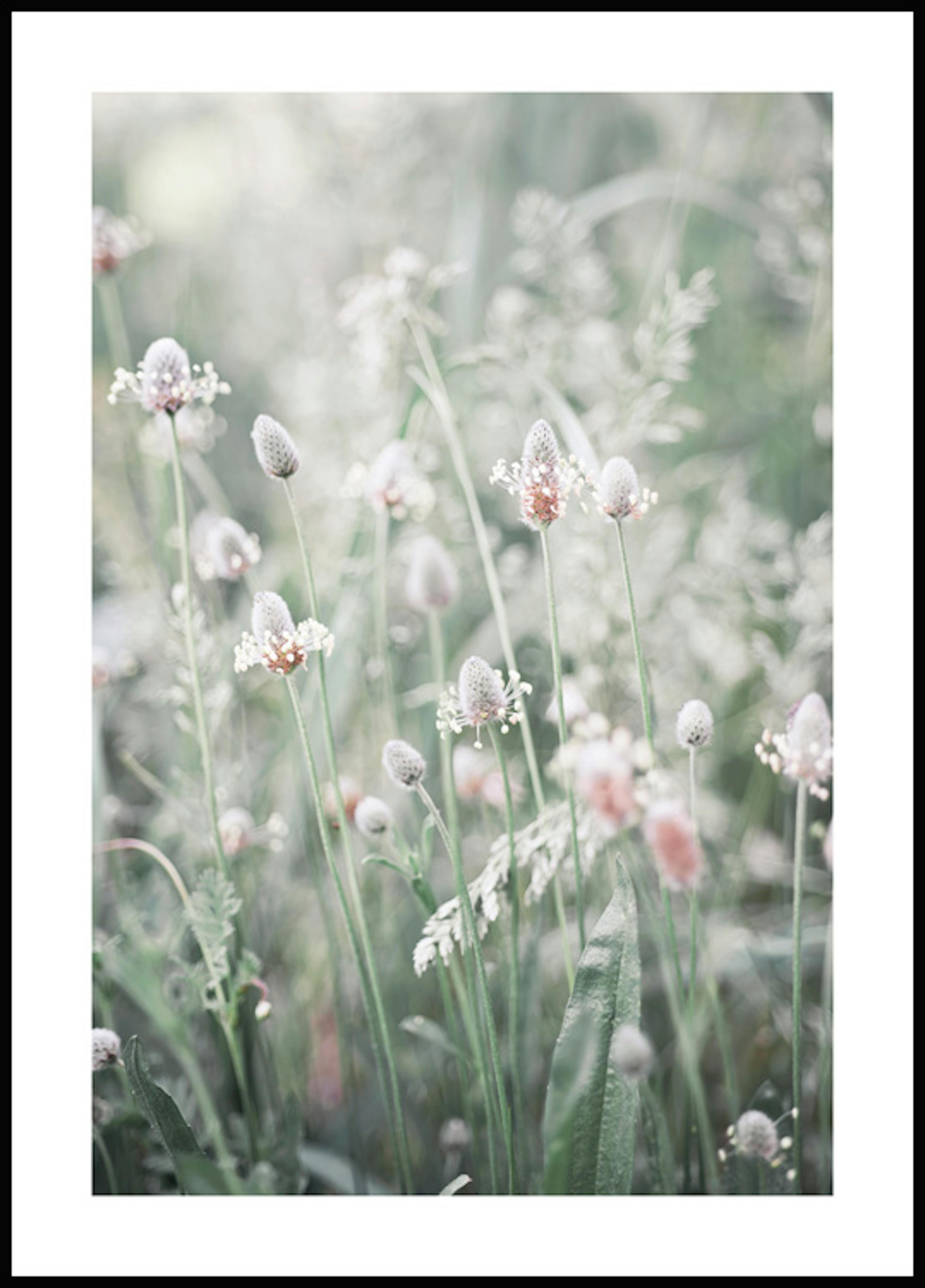 Flowers in a Meadow Affiche 0