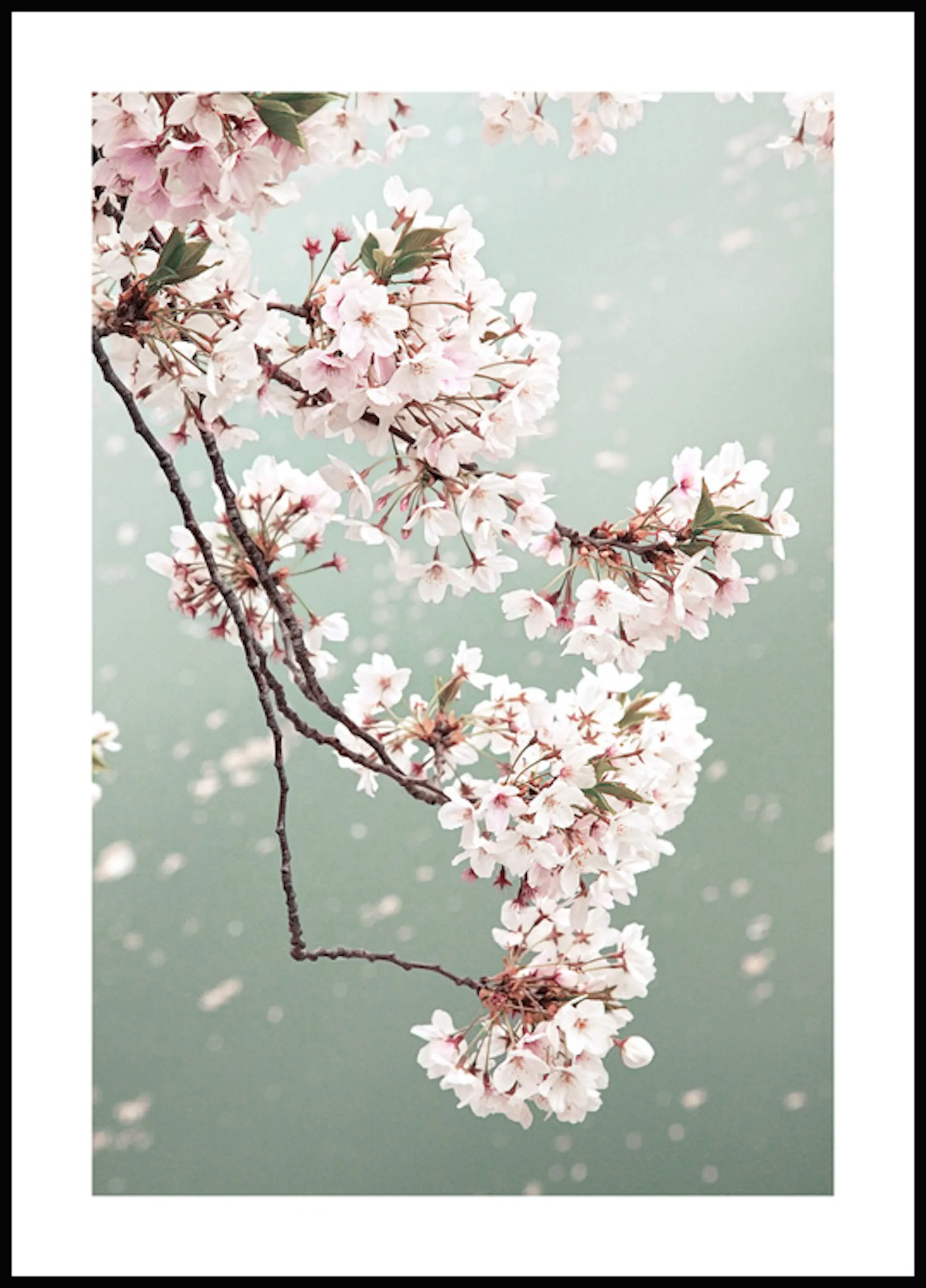 Flower Door Poster | Door Art Bougainvillea | Charming Wall Decor ...
