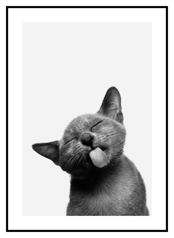 Plakat Kot (21x30 cm) - Poster Store