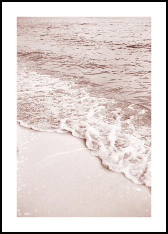 Blooming Rose Poster | Blooming Rose Poster for Elegant Home Decor ...