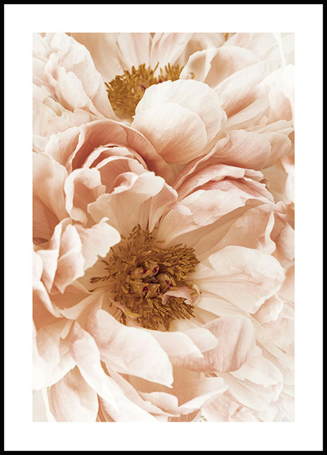 Køb plakater med rabat online på posterstore.dk