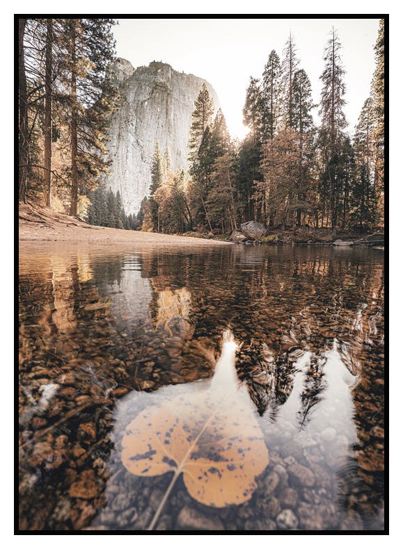 Prints Yosemite Autumn Poster (50x70 cm) - Poster Store