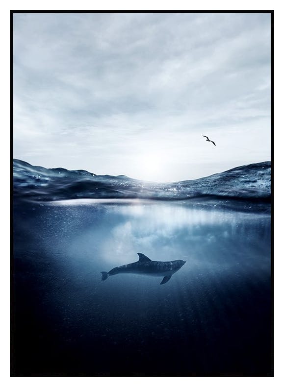 Delfin i Havet Plakat (50x70 cm) - Poster Store