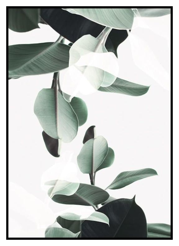 Botaniczna Podwójna Ekspozycja Plakat (30x40 cm) - Poster Store
