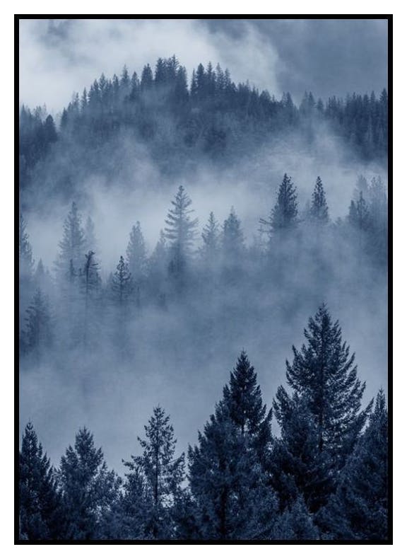 Blå Skog Poster (30x40 cm) - Poster Store