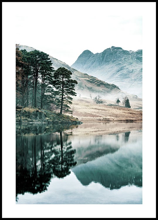 Nature posters online - Landscapes and flowers