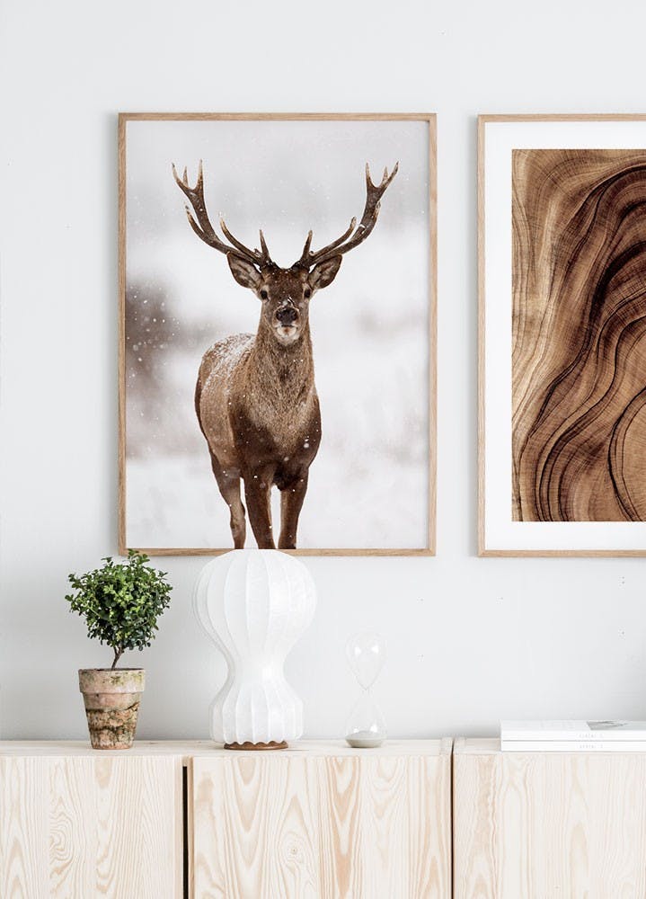 Red stag Poster (30x40 cm) - Poster Store