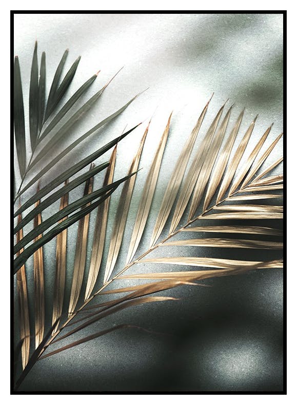 Golden Palm Poster (70x100 cm) - Poster Store