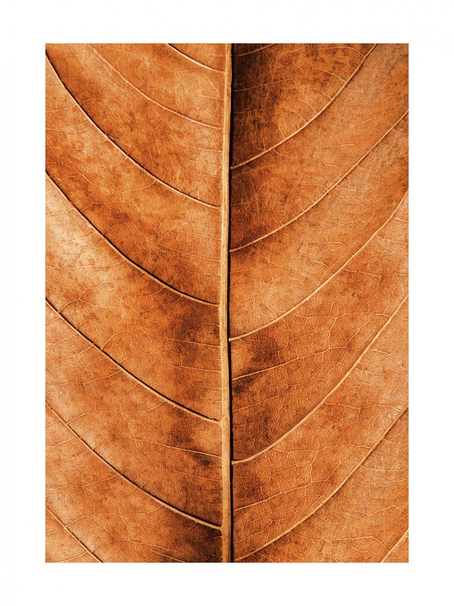 Feuille d'Automne Poster 0