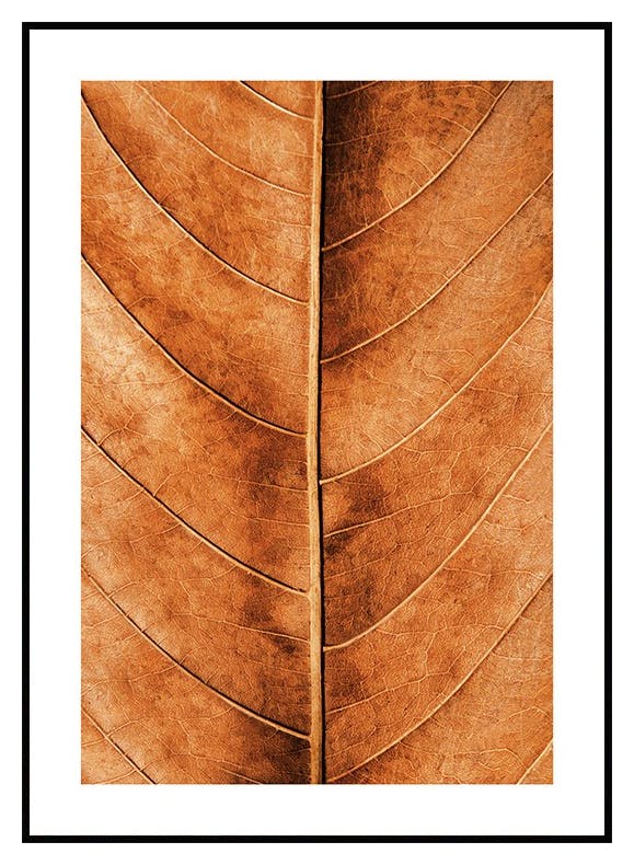 Høstblad Poster (30x40 cm) - Poster Store