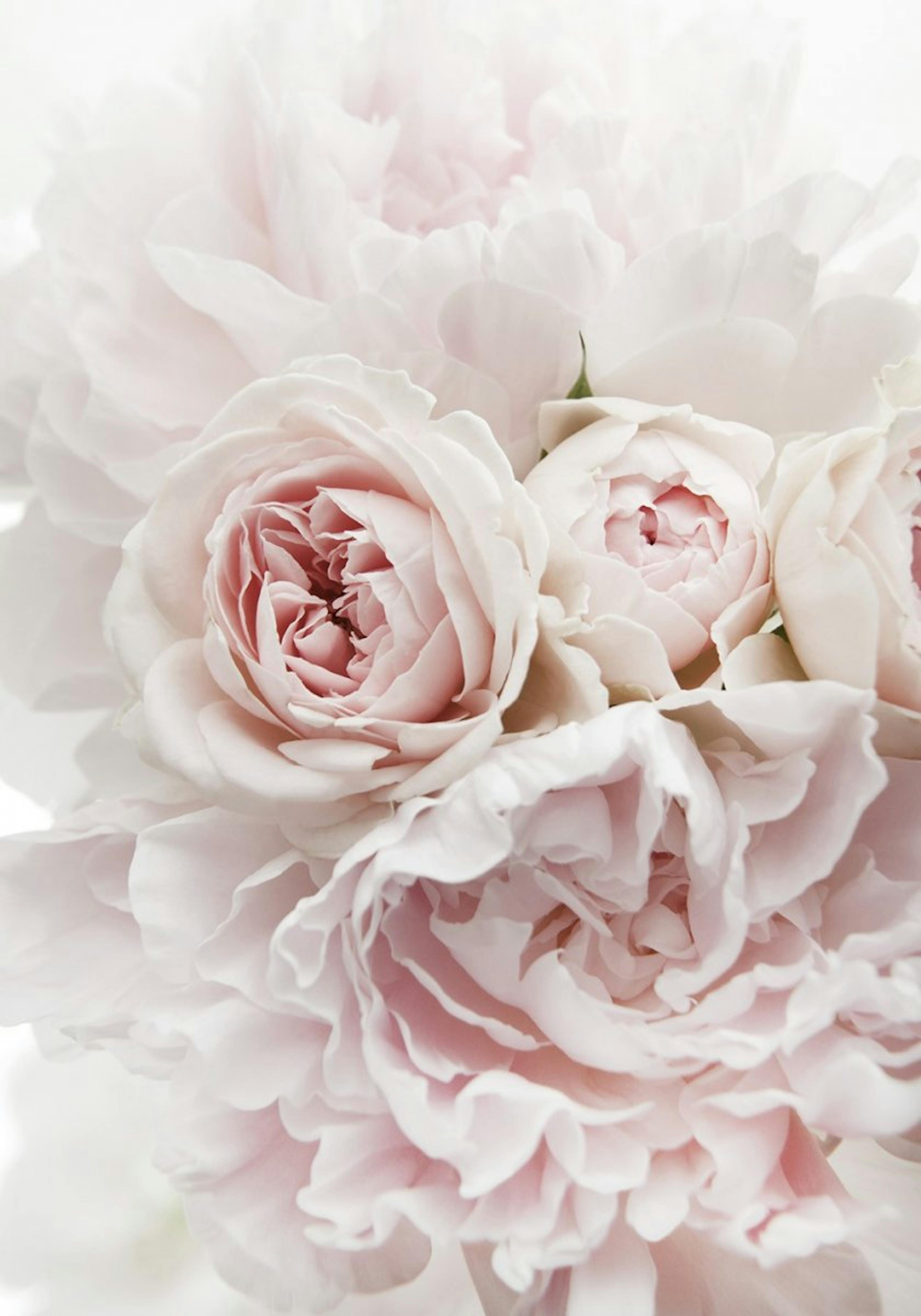Pink Flowers Plakat 0