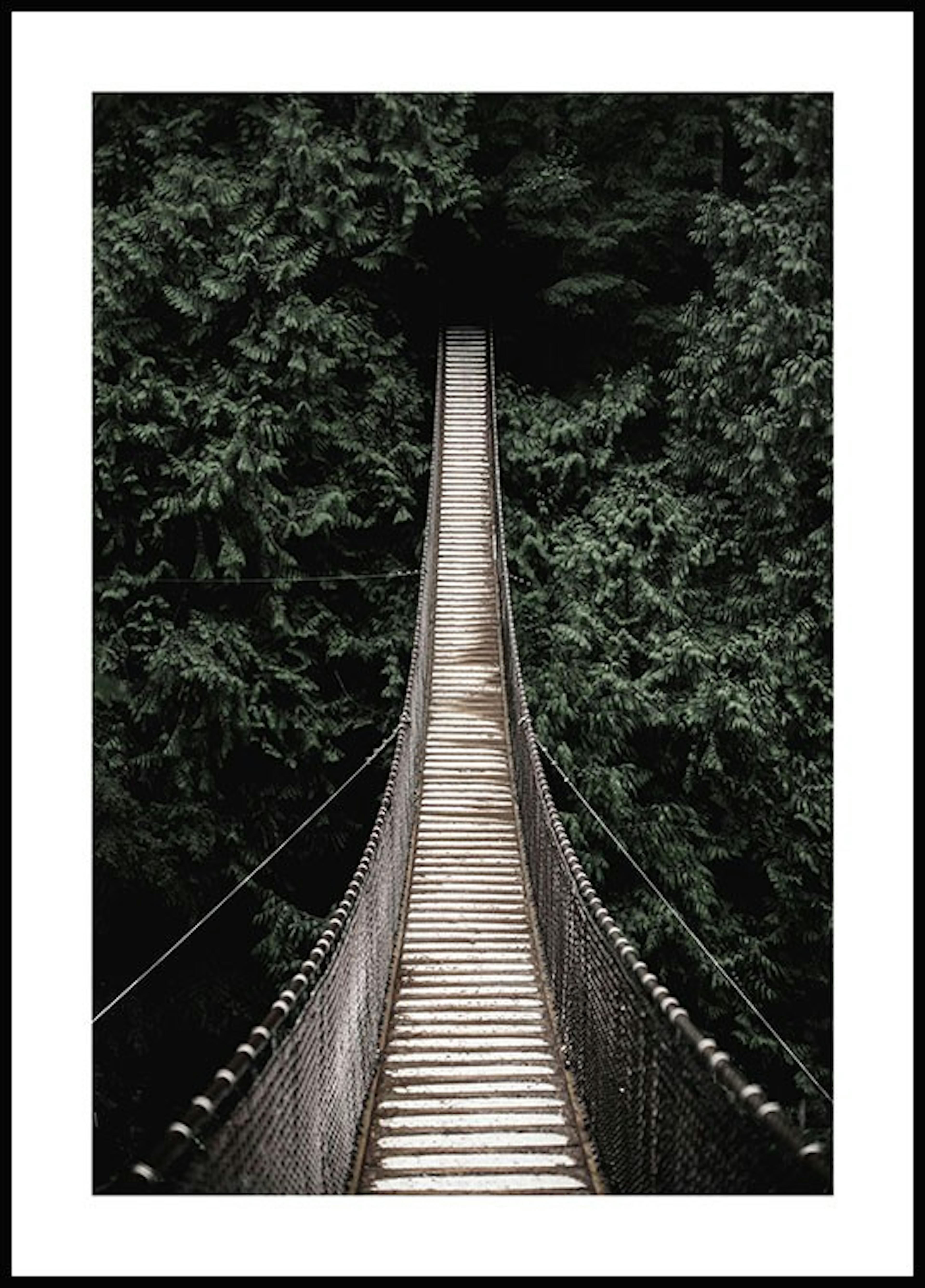 لوحة لصورة جسر الغابة 0
