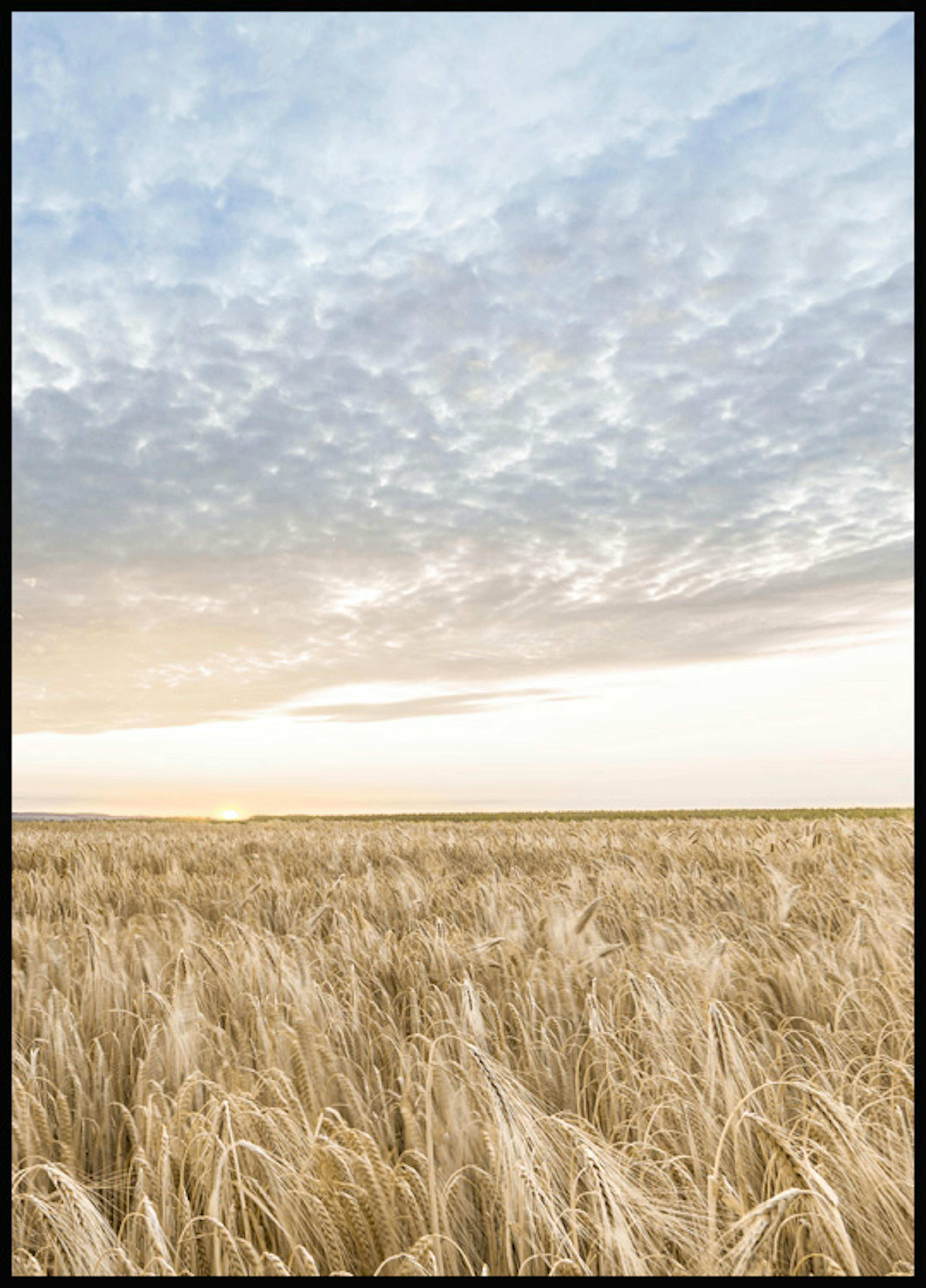 小麦畑の夕焼けポスター 0