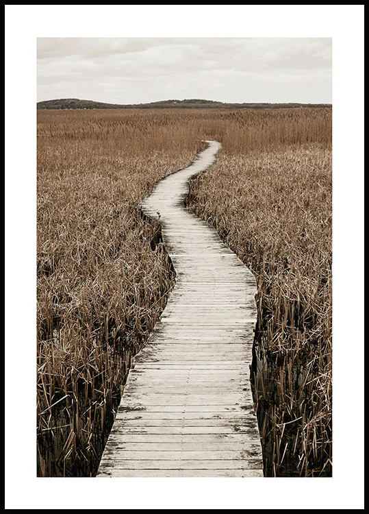 Grass Poster | Nature Poster Reeds Brown | Enhance Your Space with ...