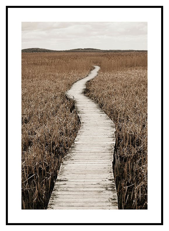 Winding Boardwalk Poster (30x40 cm) - Poster Store