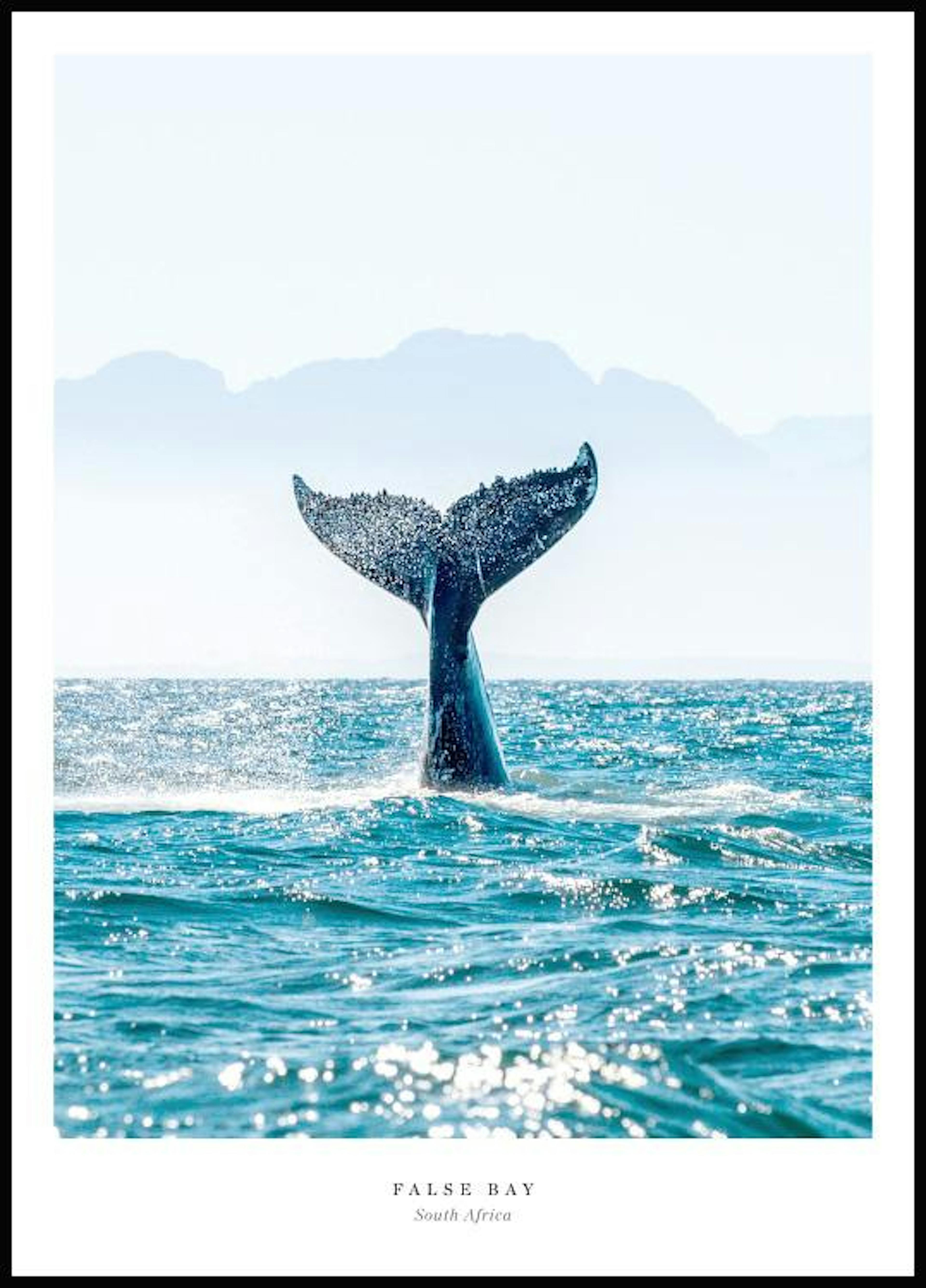 바다위 고래의 꼬리 포스터 0