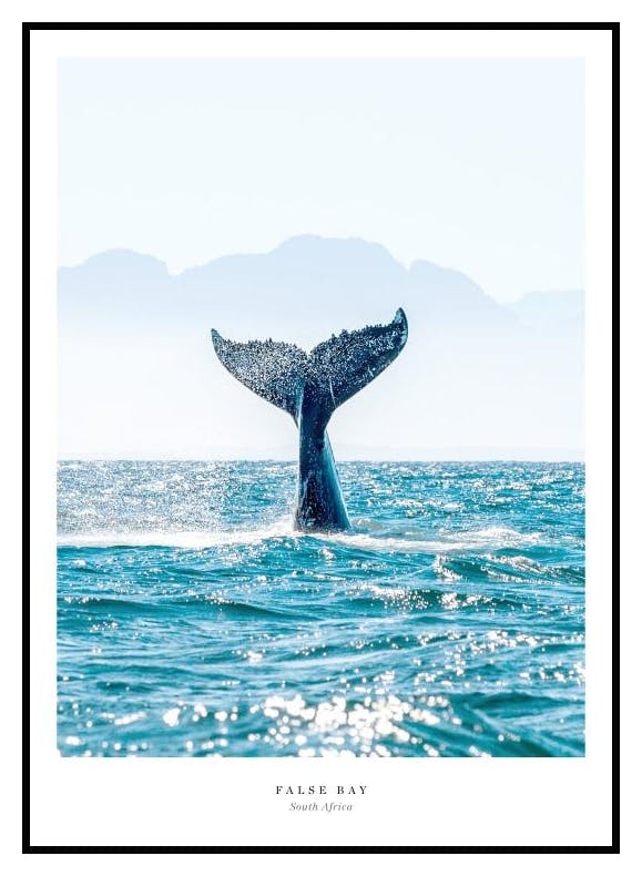 False Bay Juliste (30x40 cm) - Poster Store