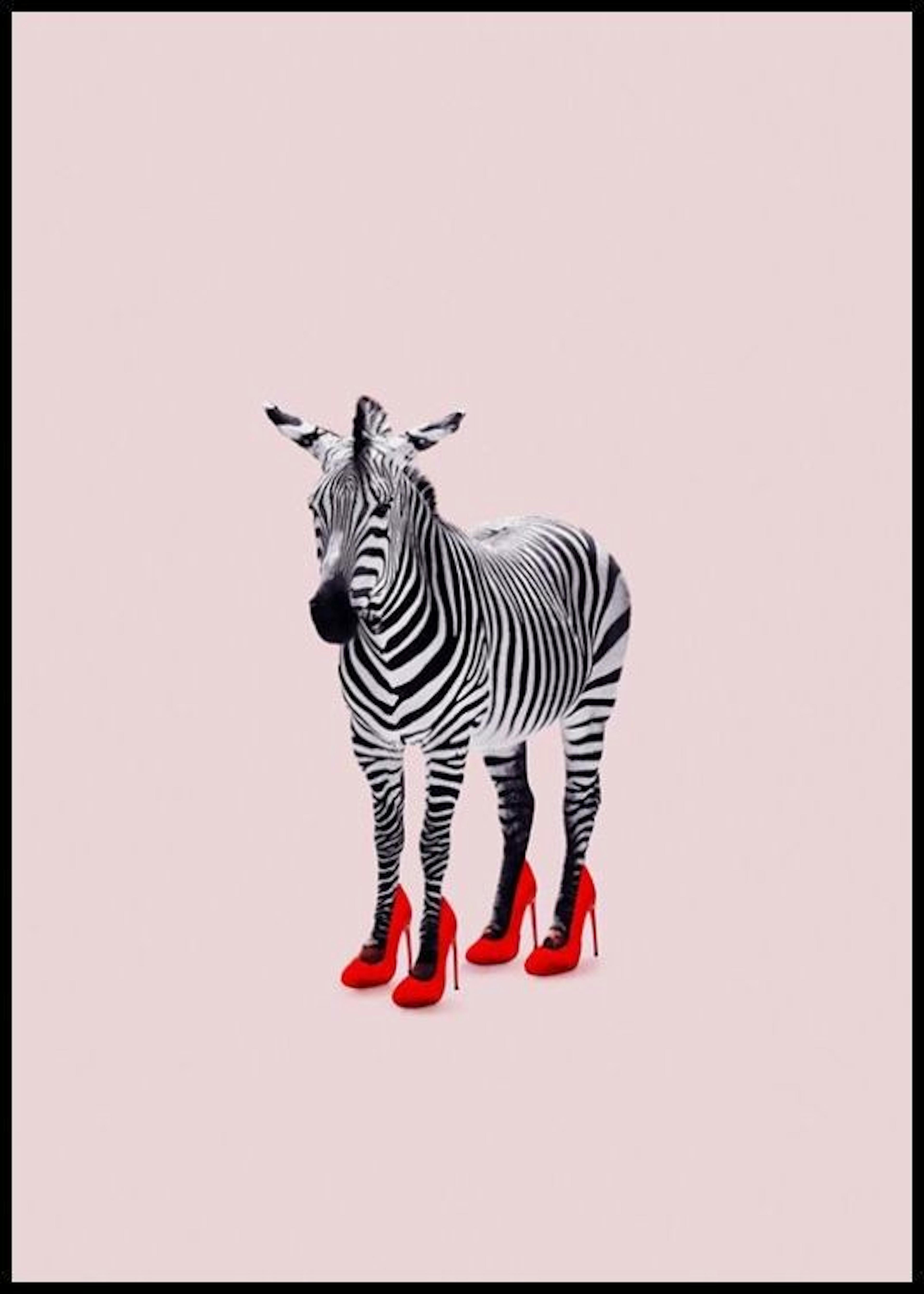 Jonas Loose - Zebra Heels thumbnail